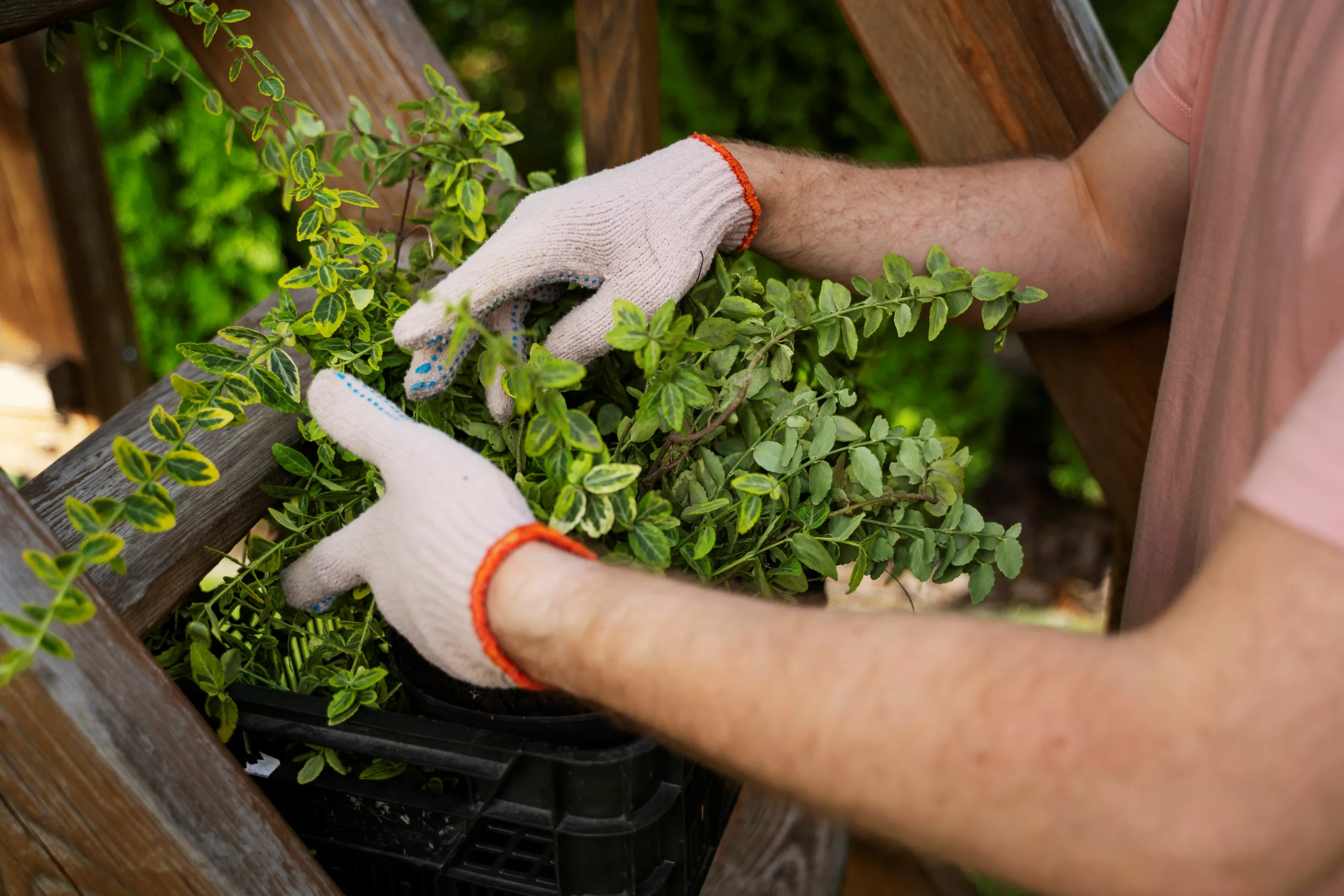 Carré potager en escalier, en bois traité plusieurs niveaux