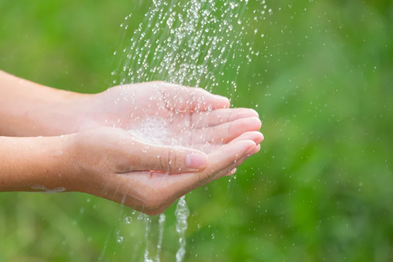 5 astuces simples et efficaces pour cacher un récupérateur d’eau de pluie