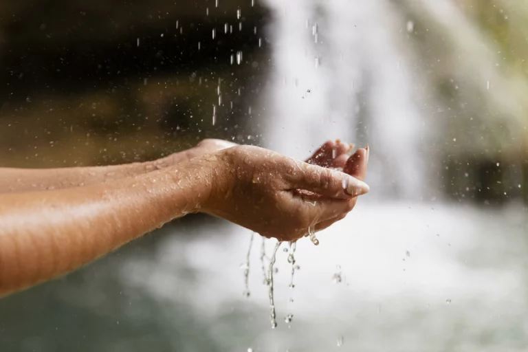 5 astuces efficaces pour garder l’eau de pluie propre