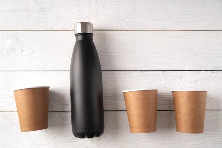 Comment remplacer les bouteilles d’eau en plastique ?