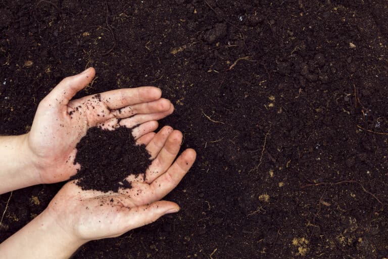 Comment tamiser le compost ?