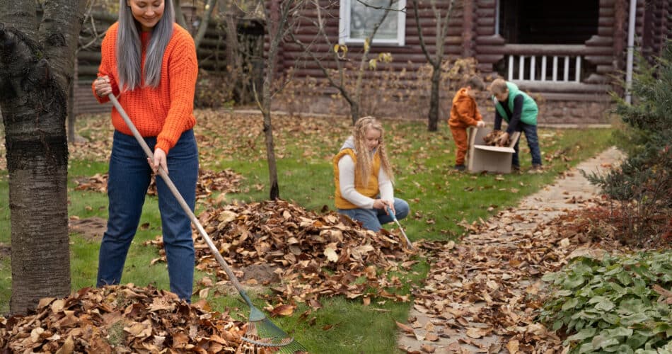 jardin potager automne